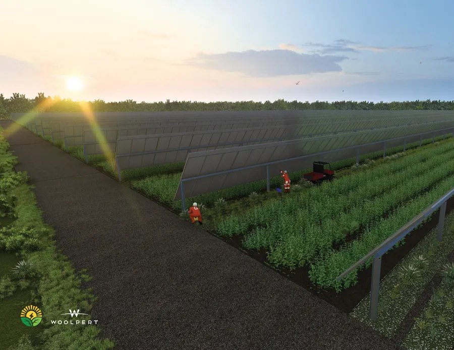 Solargation afternoon energy rendering