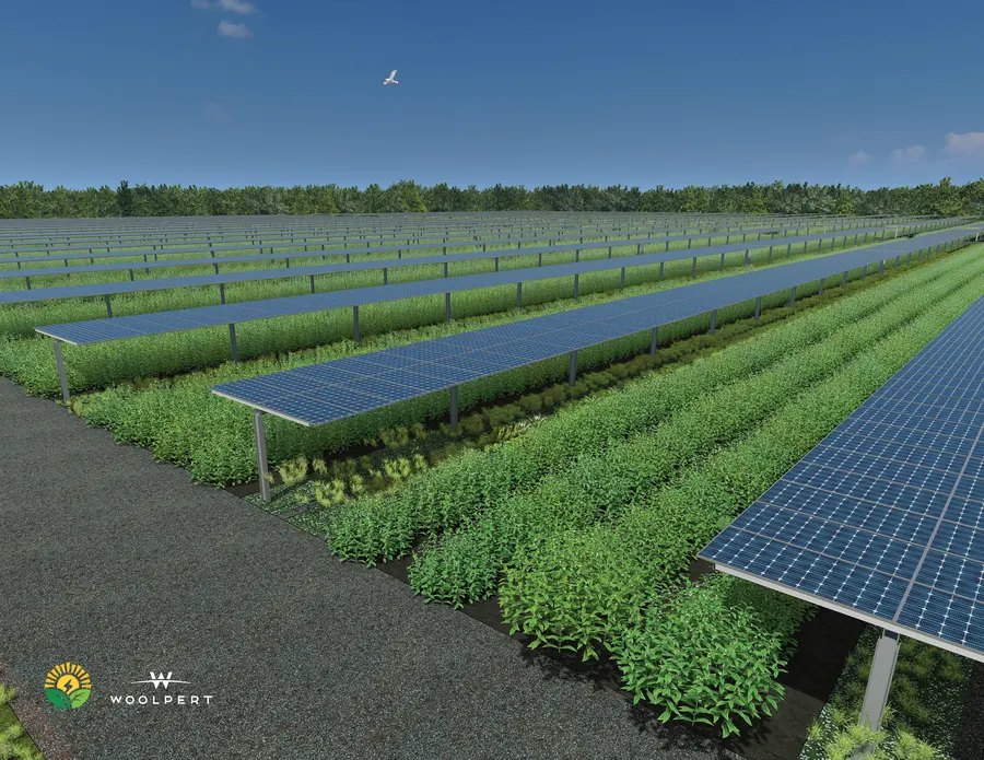 Solargation noon horizontal rendering