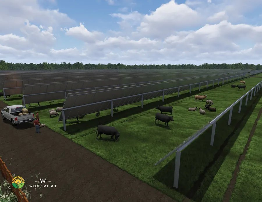 Solargation pasture rendering